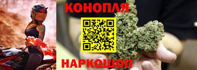 амф Шахты