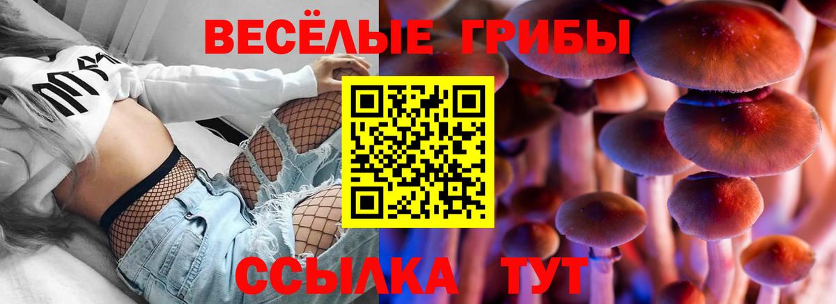 Большой Камень  Галлюциногенные грибы ЛСД  Вход с VPN 